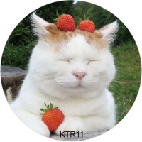 Рождественский обрезок для торта «Кот, котик, кошка» — сахарная печать, круглый, 20 см, на день рождения