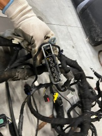 фото thumb №8, Проводка джгут панелі приладової панелі консолі ford escape mk4 1.5 eb