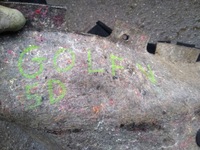 фото thumb №10, Golf v hb обшивка підлогова 1k1863367bh /07n europa