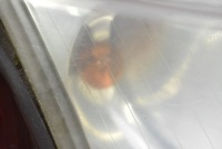 Фара правый лампа перед линза eu 155826-00 saab 9-3 93 2 ii 02-07 Недорого, фото thumb