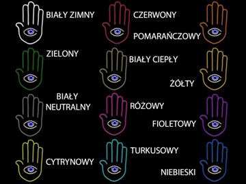 NDLON OUTLINE OF HAND + EYE PC5 NEON LED FLEX ŚWIDNIK