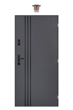 ВНЕШНИЕ ДВЕРИ ИЗ ПОЛЬСКОЙ ИНОКС SLED1L ЧЕРНЫЕ 55MM 90