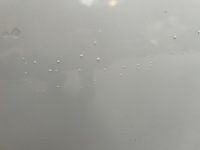 фото thumb №4, Дверь правый перед передние mini countryman r60