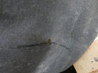 фото thumb №8, Volvo xc60 i lift r-design подкрылок левый перед левая передние