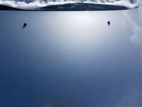 фото thumb №10, Honda stream i капот кришка двигуна nh632m