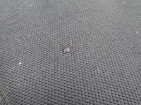 фото thumb №6, Lexus is ii 05-13 подлокотник заднее сиденье задняя