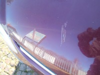 фото thumb №6, Капот almera tino 2004 цвет a31