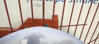 фото thumb №9, Капот кришка двигуна сталевий toyota rav4 xa40 1.13-12.18 версія eu lak 1d6