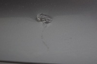 фото thumb №6, Бампер зад audi a8 d3 pdc