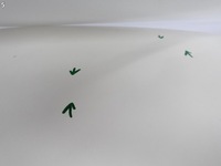 фото thumb №6, Mercedes sls amg c197 10-14 дверь левая перед