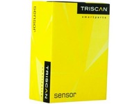 фото thumb №1, Рессора задняя triscan 8765 43004