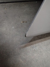 фото thumb №8, Капот mercedes c klasa w204