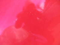 Капот крышка двигателя citroen nemo 2011 год Недорого, фото thumb