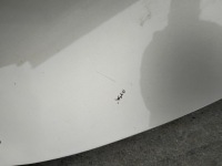 фото thumb №7, Капот renault scenic iii колір ted11 оригінал лак 2008-2012