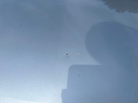 фото thumb №7, Opel astra j капот кришка двигуна [gan z176]