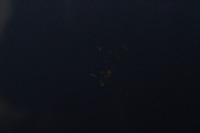 фото thumb №9, Капот крышка двигателя audi a4 b6 cabrio 2002r-