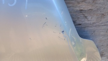 фото thumb №8, Ford focus mk2 рестайлінг рестайлінг капот o3