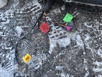 фото thumb №10, Сиденье с подогревом левый перед подушка безопасности застёжка audi a5 8t3 купе чёрная кожа оригинальный номер eu