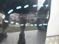 фото thumb №3, Дверь задняя задние правое c3 picasso