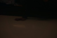 фото thumb №7, Bmw x1 e84 двері правий перед передні b38