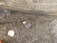 фото thumb №8, Подкрылок правое перед vivaro b trafic iii 3