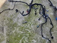 фото thumb №8, Dacia sandero ii 0.9 tce джгут електропроводка двигуна