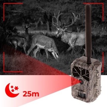 Kamera leśna fotopułapka HC-BG636-48M 4G LTE