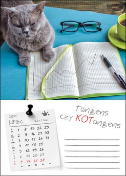 Настенный календарь 2024 Кошки на работе Кошки Кошки