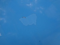 фото thumb №7, Капот крышка двигателя renault clio 4 iv ovrpj 12-19