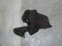 фото thumb №1, Защита крышка двигателя jeep renegade 1.4 multiair