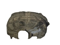 фото thumb №6, Volvo xc90 2018 подкрылок задние