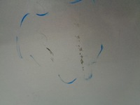 фото thumb №4, Renault megane iii hb двері ліві задні ted69