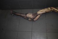 фото thumb №4, Катализатор правые audi s8 d3 5.2 fsi 4f0131701de