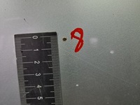 фото thumb №10, Капот передняя opel zafira b z157