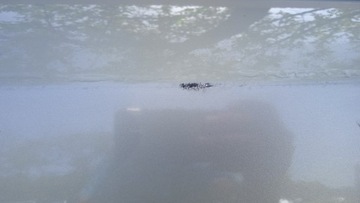 фото thumb №12, Opel astra h fl універсал двері зад лівий z167