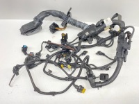 Джгут електропроводка двигуна b37 bmw 2 f45 f46 x1 f48 x2 f39 mini f54 Ціна, фото thumb