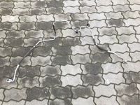 фото thumb №1, Шланг кондиціонера mercedes w204 2048304515