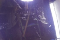 фото thumb №7, Капот крышка двигателя mercedes s w220 lift