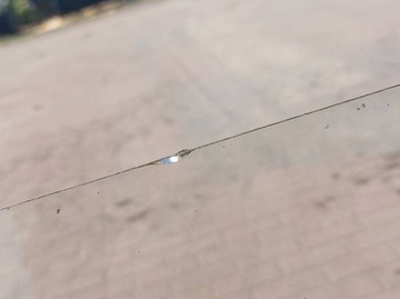 фото thumb №3, Стекло лобовое передняя daf 55