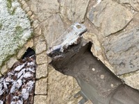 фото thumb №9, Dacia duster i крыло правый перед оригинал