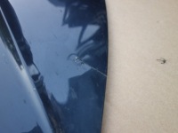 фото thumb №7, Капот audi q5 80a lift оригинал