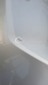 фото thumb №8, Задняя крышка багажника mazda 5 06r 22r