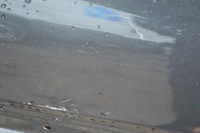 фото thumb №5, Двері ліва задні citroen c4 cactus 2014-