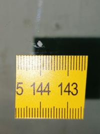 фото thumb №6, Стекло передняя seat arona 2017- камера датчик оригинал kamyk