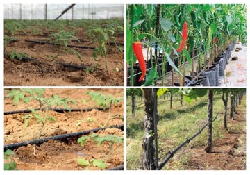 DRIPPER HYDRATION DRIP LINE 100+124 XL Без компенсации Strong