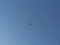 фото thumb №10, Капот кришка двигуна volvo c30 s40 ii v50 449