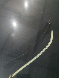 фото thumb №5, Капот кришка двигуна ppf audi a8 d4 09-13 lz9y