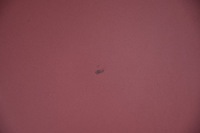 фото thumb №5, Капот кришка двигуна opel insignia a