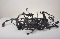 фото thumb №11, Ghibli iii 3.0 d жгут двигателя 028852058f0