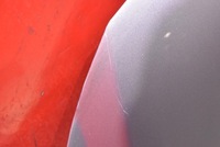 фото thumb №6, Капот крышка двигателя песчаный opel corsa d 06-11